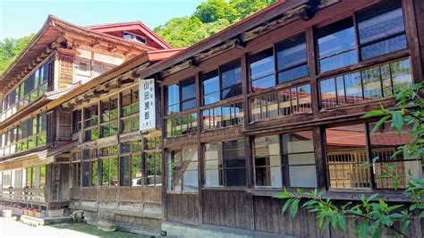  齊齊哈爾香草園，漫步紫色花海，感受浪漫夏日！