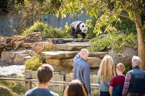   阿德雷德動物園，探索非洲奇觀的奇妙旅程！