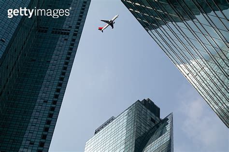 부산 비행기, 그리고 바다 위의 철새들