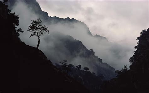 羅浮山：雲霧繚繞的仙境之 peak！