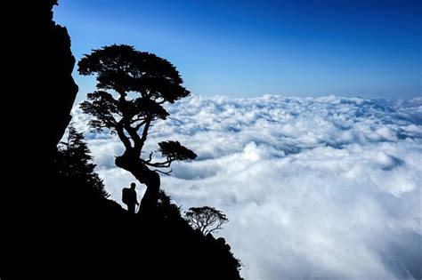 文山雲海奇觀！令人驚嘆的壯麗景色！